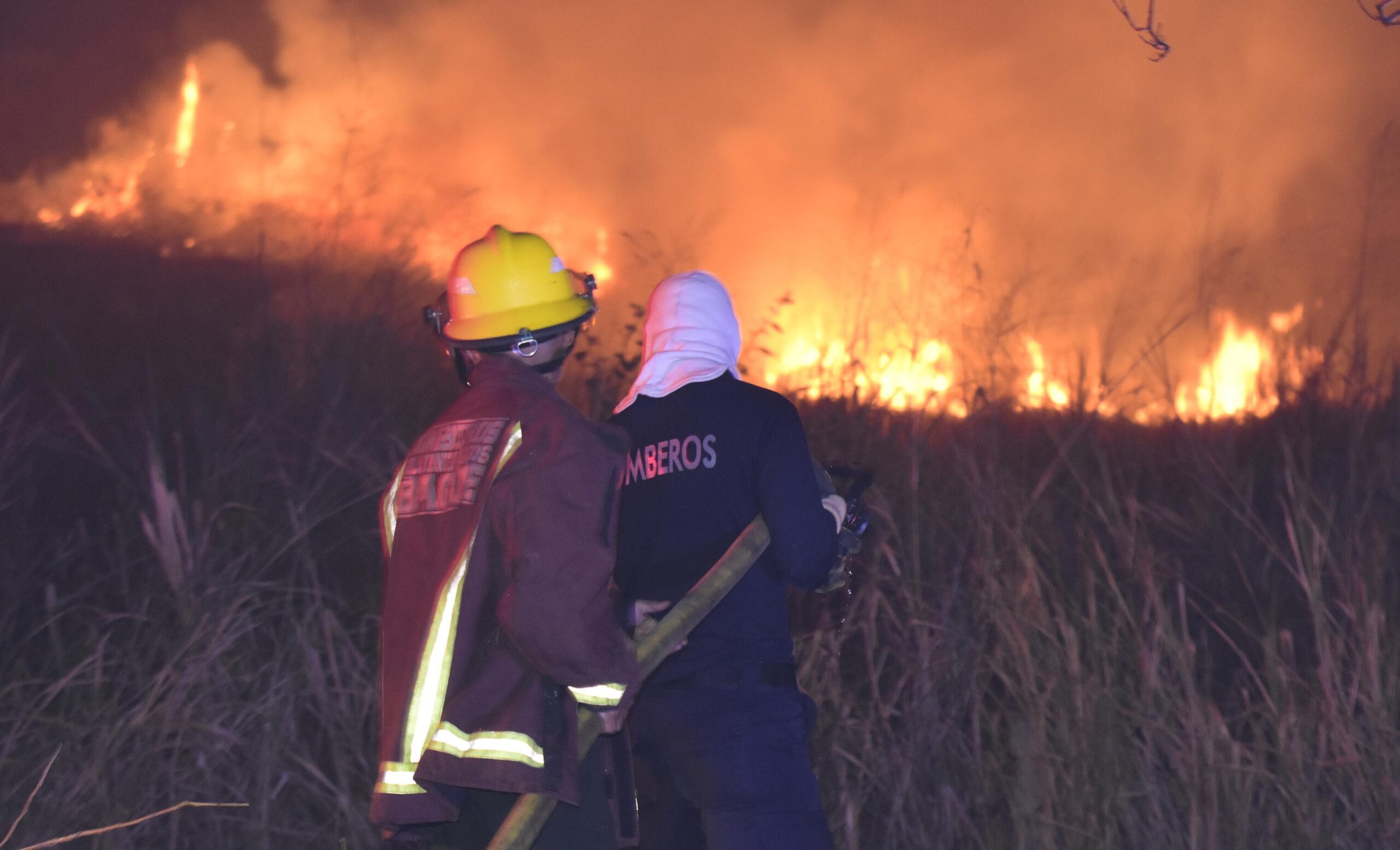 Bomberos sofocan incendio forestal en el barrio Nueva Castilla 1