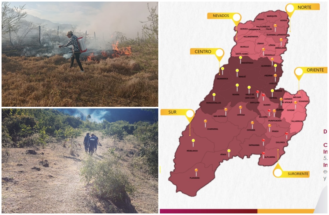 Alerta en Tolima: seis municipios superan los 36 grados y más de 165 hectáreas han sido consumidas por incendios 1