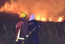 “Están perdiendo todo”: más de 36 incendios mantienen en alerta al Tolima y piden ayuda para las comunidades afectadas 12