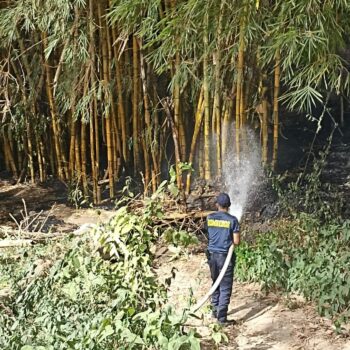Ibagué suma 59 incendios forestales en julio: seis ocurrieron en las últimas 48 horas 4