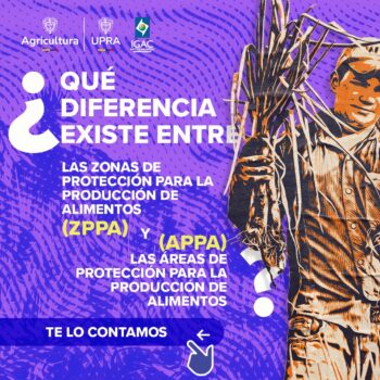 Procuraduría solicita declarar inexequible artículo sobre Áreas de Protección para Alimentos, APPA 2