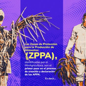 Procuraduría solicita declarar inexequible artículo sobre Áreas de Protección para Alimentos, APPA 3
