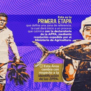 Procuraduría solicita declarar inexequible artículo sobre Áreas de Protección para Alimentos, APPA 4
