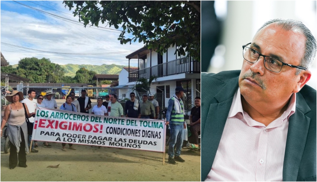 Paro arrocero: Fernando Borja pide control a la sobreoferta y restablecer incentivos al almacenamiento 1