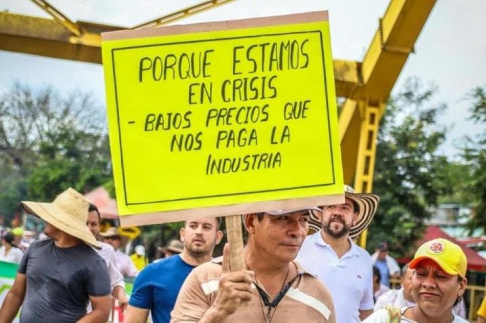 Segundo día de negociación: arroceros esperan que molineros confirmen aumento en el precio del grano 1