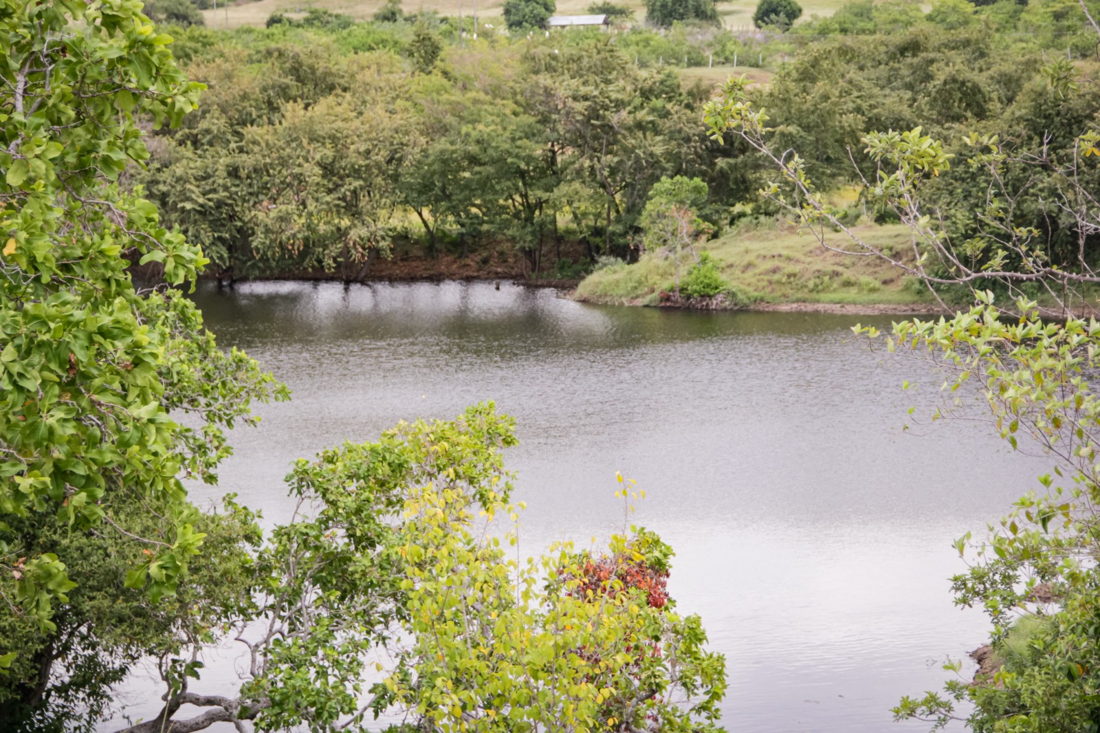 Usuarios del agua natural tienen plazo hasta el 28 de julio para cumplir con el pago de la TUA 1