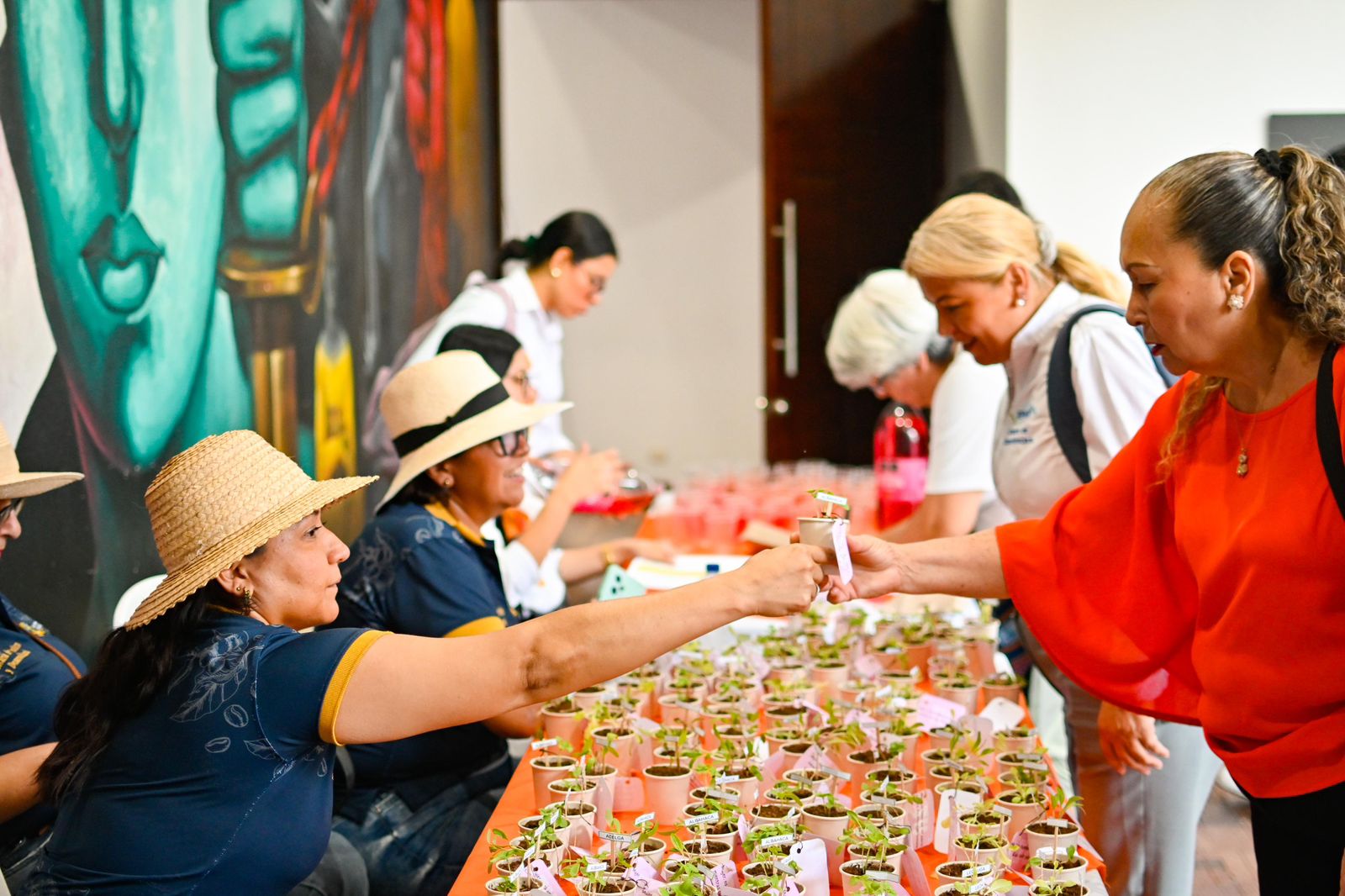 Ibagué impulsa el agro con entrega de insumos y asistencia técnica a pequeños productores 1