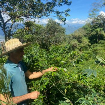 Ibagué impulsa el agro con entrega de insumos y asistencia técnica a pequeños productores 5