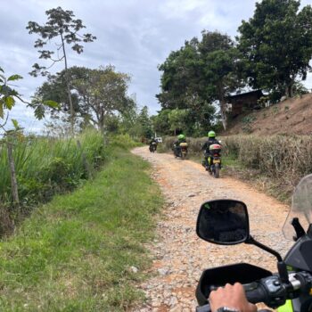 Operativos de la Policía Tolima dejan 17 capturas y más de 10.000 dosis de droga incautadas 3