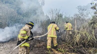 incendios