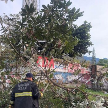 Balance de atención tras fuerte tormenta en Ibagué: 20 emergencias 3