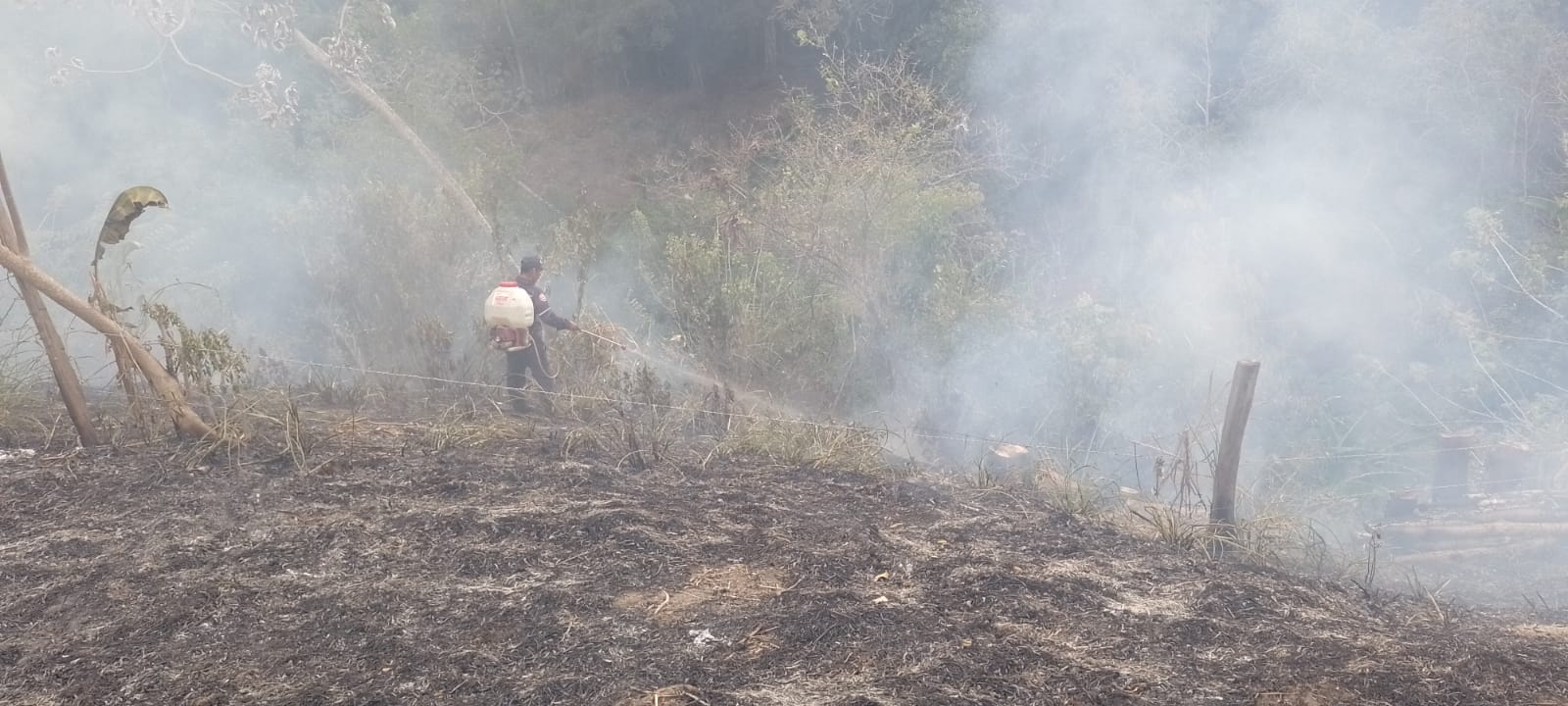Asamblea del Tolima hace seguimiento a incendios forestales en Guamo y San Luis y expresa solidaridad con familias afectadas 4