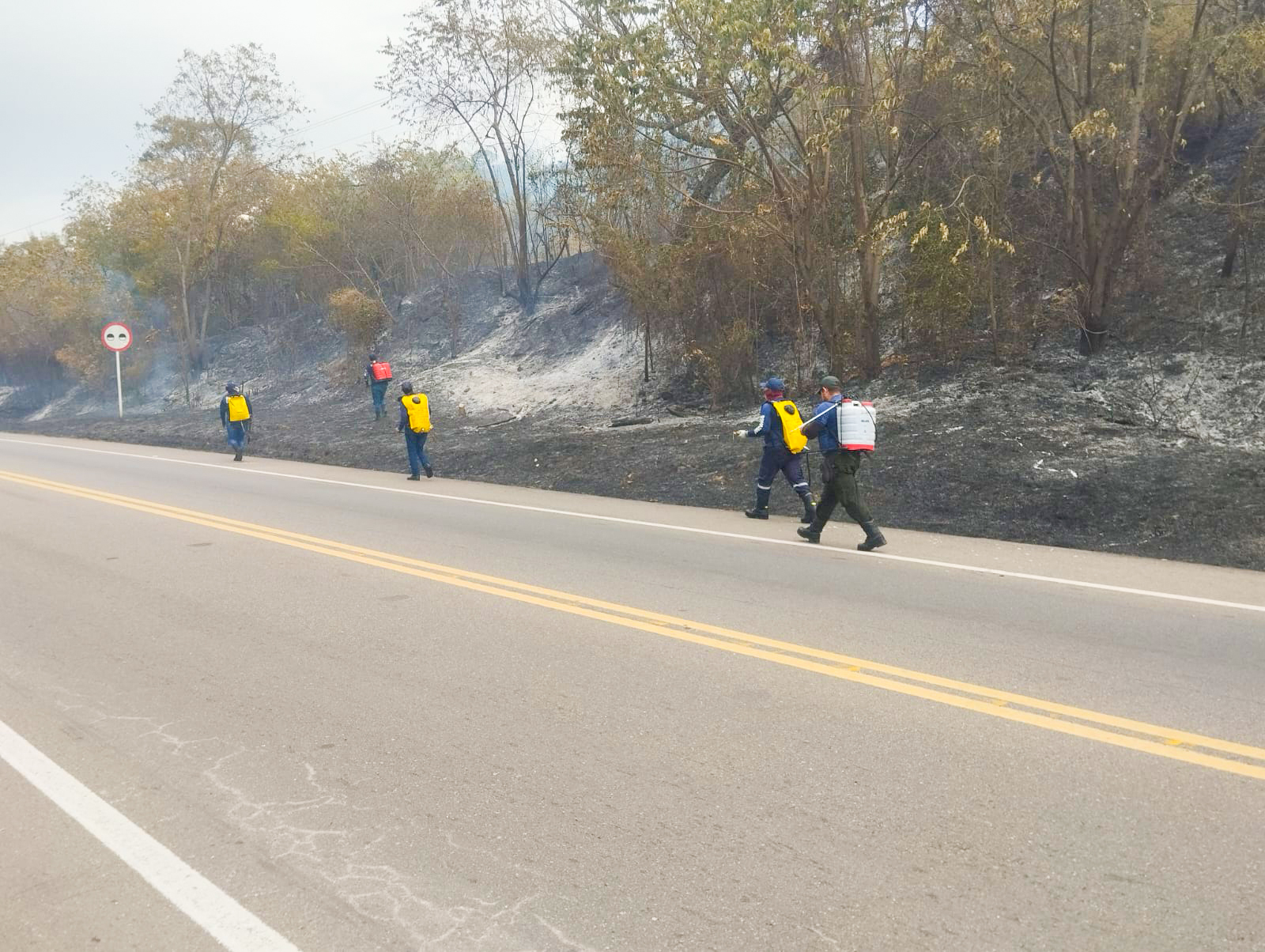 Diez incendios forestales en Natagaima y sin máquina de bomberos para atender emergencias 1