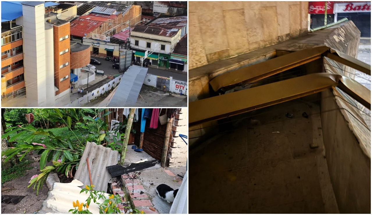 Lluvias con fuertes vientos causaron inundaciones y caída de árboles en Ibagué 1