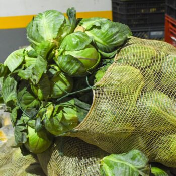 Alcaldía y estudiantes visitaron planta del Programa de Alimentación Escolar en Ibagué 2