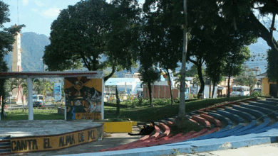Delincuentes actúan con la “droga del olvido”. Mujer fue escopolaminada en el centro de Ibagué 4