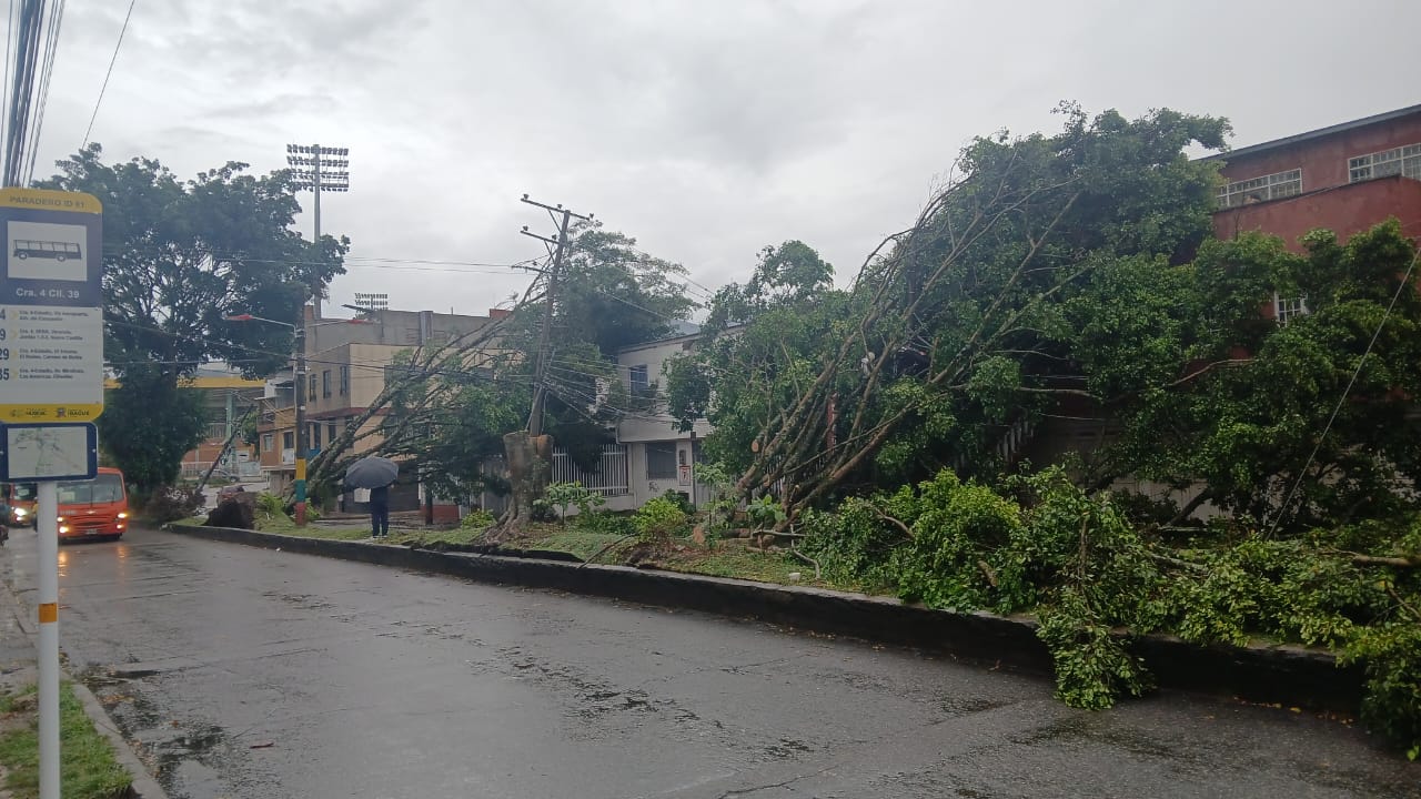Lluvias en Ibagué colapsan rutas de recolección de basura 3