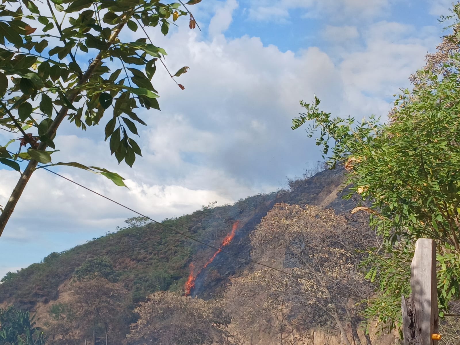 Ibagué prohíbe las quemas para evitar incendios forestales. Consejos prácticos de los Bomberos 1
