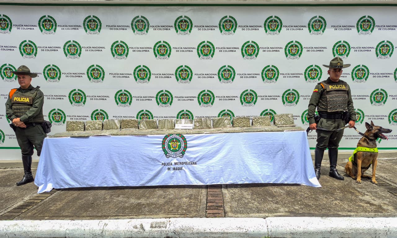 Policía de Ibagué incauta más de 19 kilos de marihuana enviados por encomienda desde Neiva 3