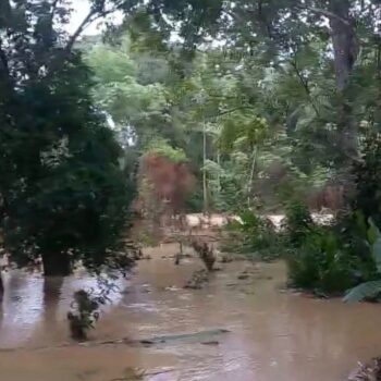 invernal en el tolima