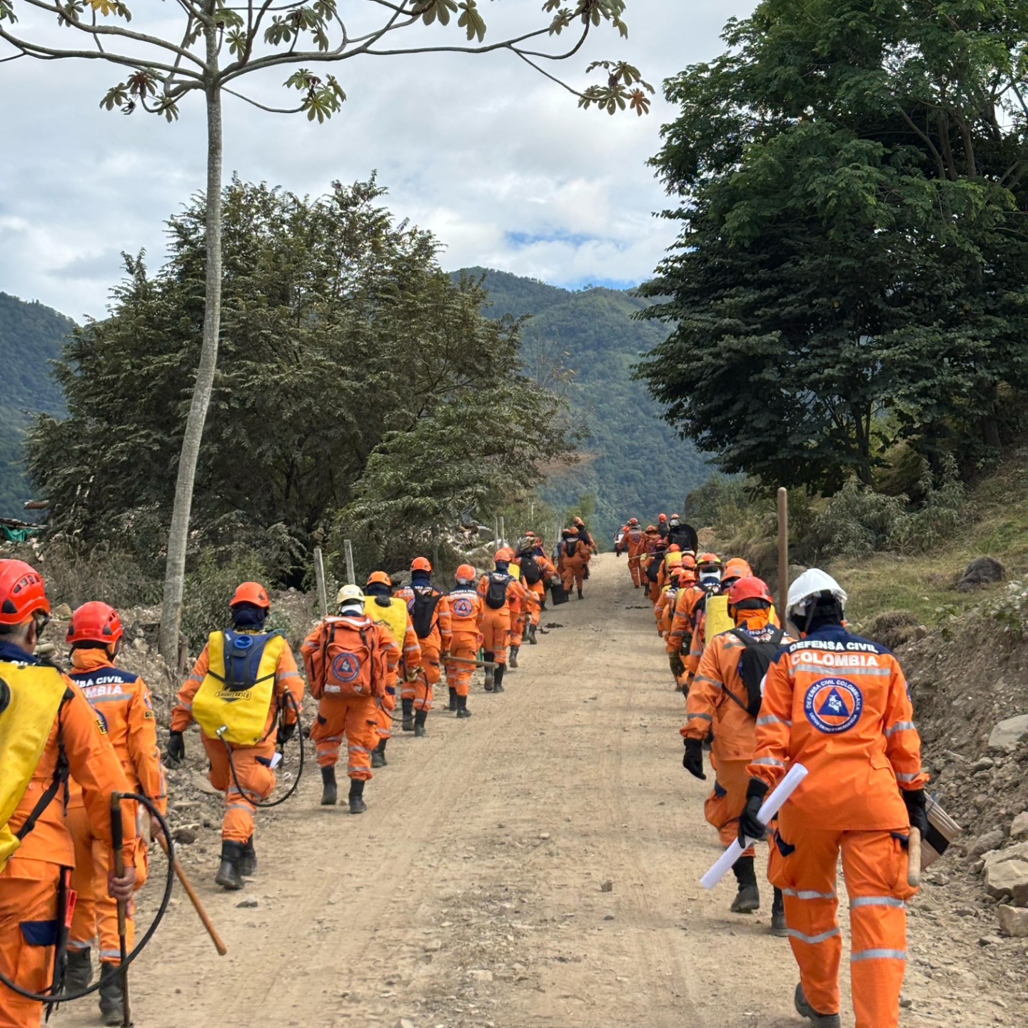 ¿Cuánto más podrán resistir quienes están en primera línea contra el fuego en el Tolima? 6