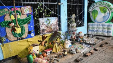 Festival de Pesebres Ecológicos Cortolima 2025: una Navidad sostenible en Ibagué 2