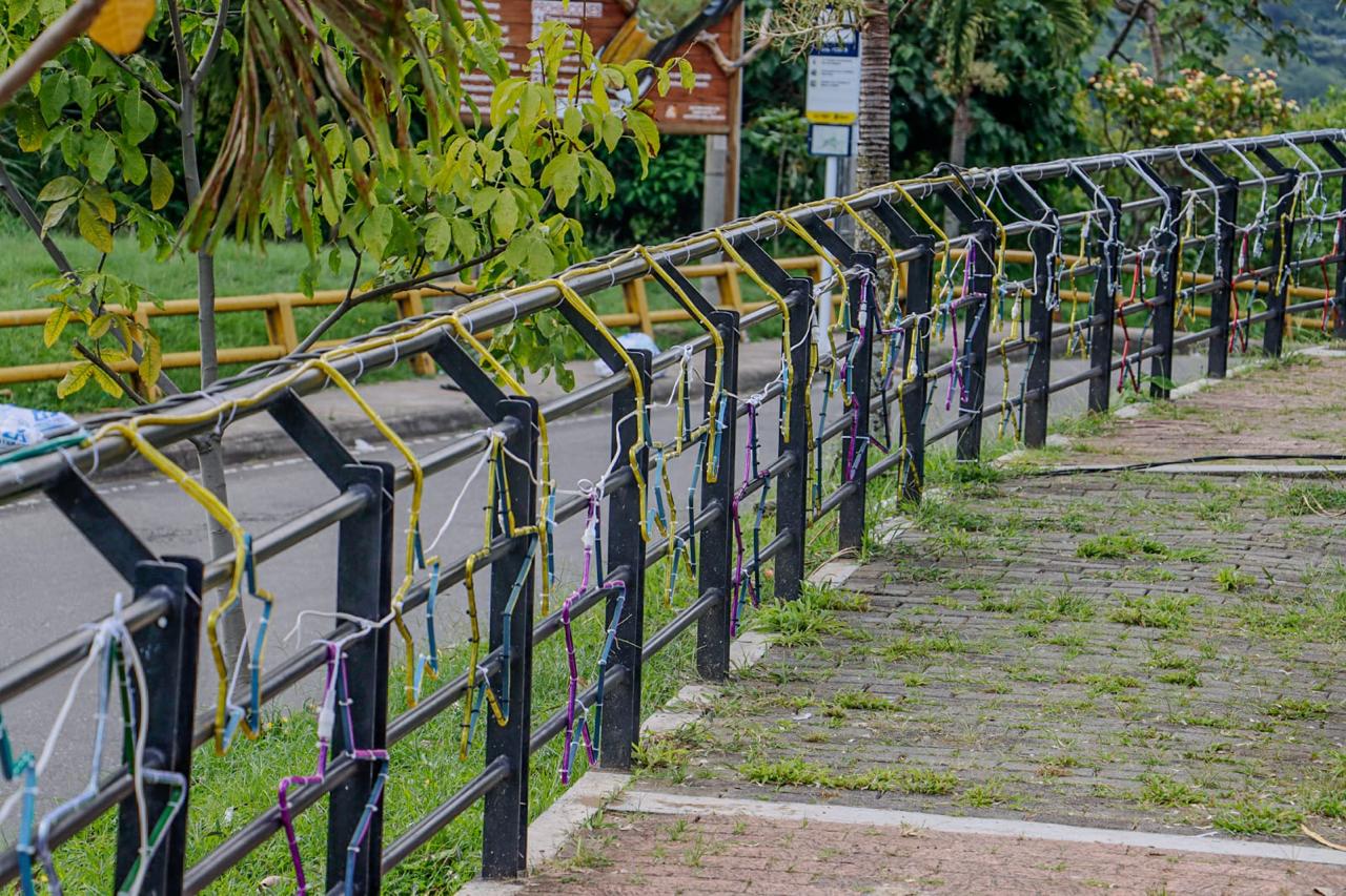 Parque de La Música y Plaza de Bolívar se llenan de luz: Ibagué enciende la magia de la Navidad 2025 2