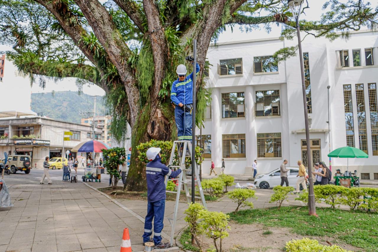 Parque de La Música y Plaza de Bolívar se llenan de luz: Ibagué enciende la magia de la Navidad 2025 3