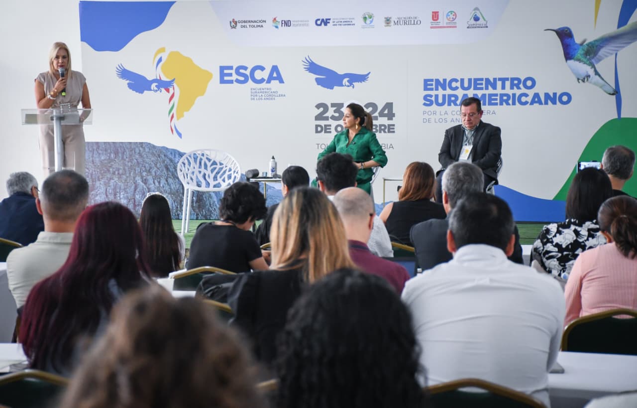 "La minería ilegal amenaza la vida, la seguridad y el futuro del territorio tolimense”: directora de Cortolima 1