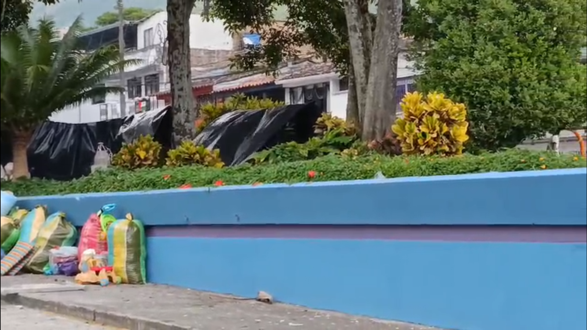 Más de 80 indígenas Embera Katío se toman Parque del Centro Administrativo en Ibagué 6