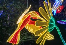 Ibagué reducirá las horas del alumbrado navideño y cancelará luces en Parque Deportivo y otros sectores 7