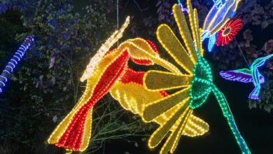 Ibagué reducirá las horas del alumbrado navideño y cancelará luces en Parque Deportivo y otros sectores 2