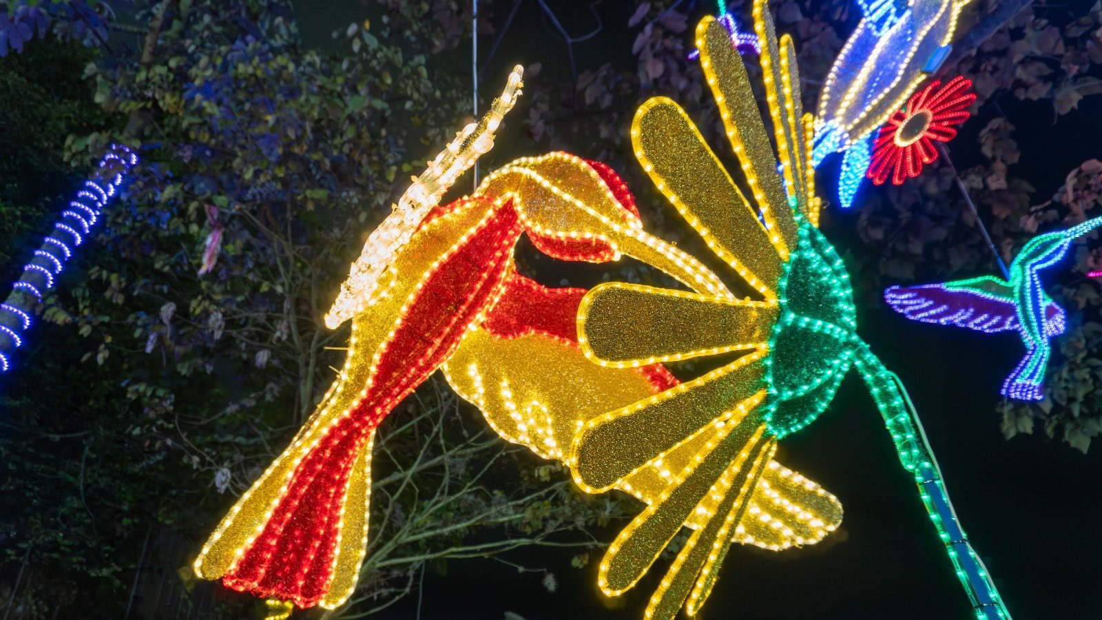 Capturado en flagrancia hombre que hurtaba alumbrado navideño en el centro de Ibagué 3