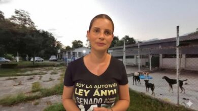 “El Tolima se raja en protección animal”: senadora Andrea Padilla lanza dura crítica a Ibagué y al departamento 4