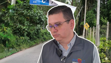 MOE alerta: publicidad sin control ni sanciones en Ibagué 2