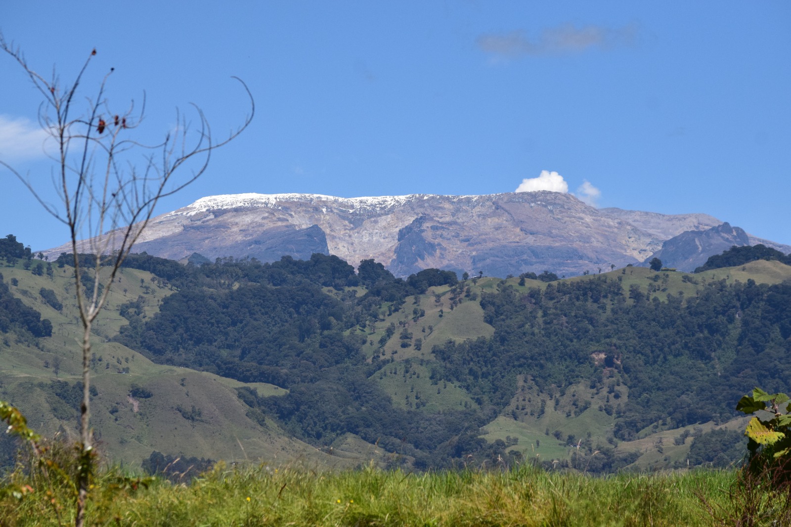 Alerta ambiental en Los Nevados: Gobernación del Tolima advierte daños graves por turismo irresponsable 1