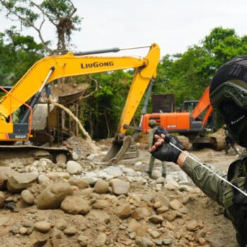 Ocho minas menos y millones en pérdidas: el golpe que reconfigura la minería ilegal en el sur del Tolima 11