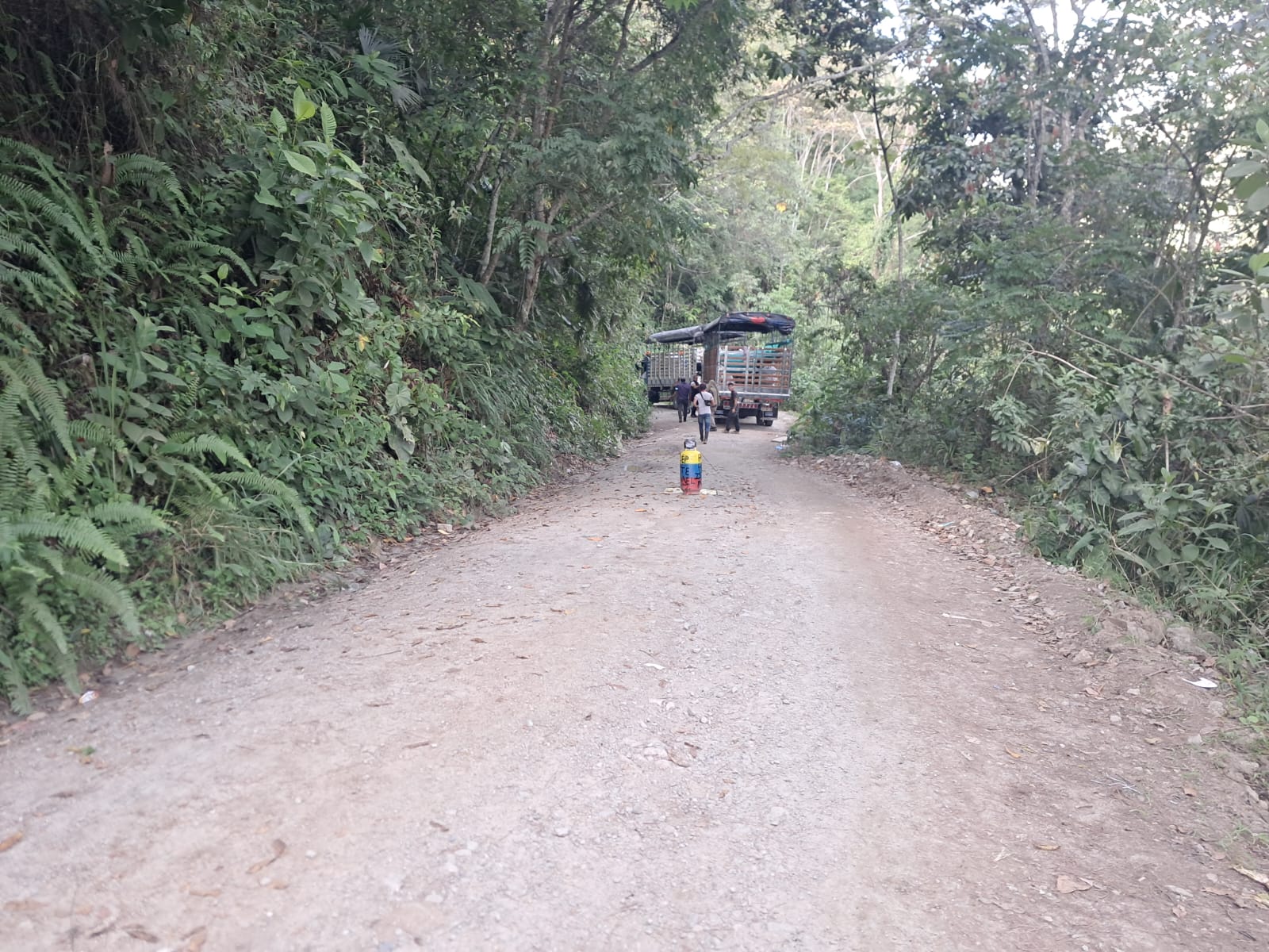 Un cilindro bomba en la vía: Ejército frustró atentado en zona rural de Rioblanco, Tolima 5