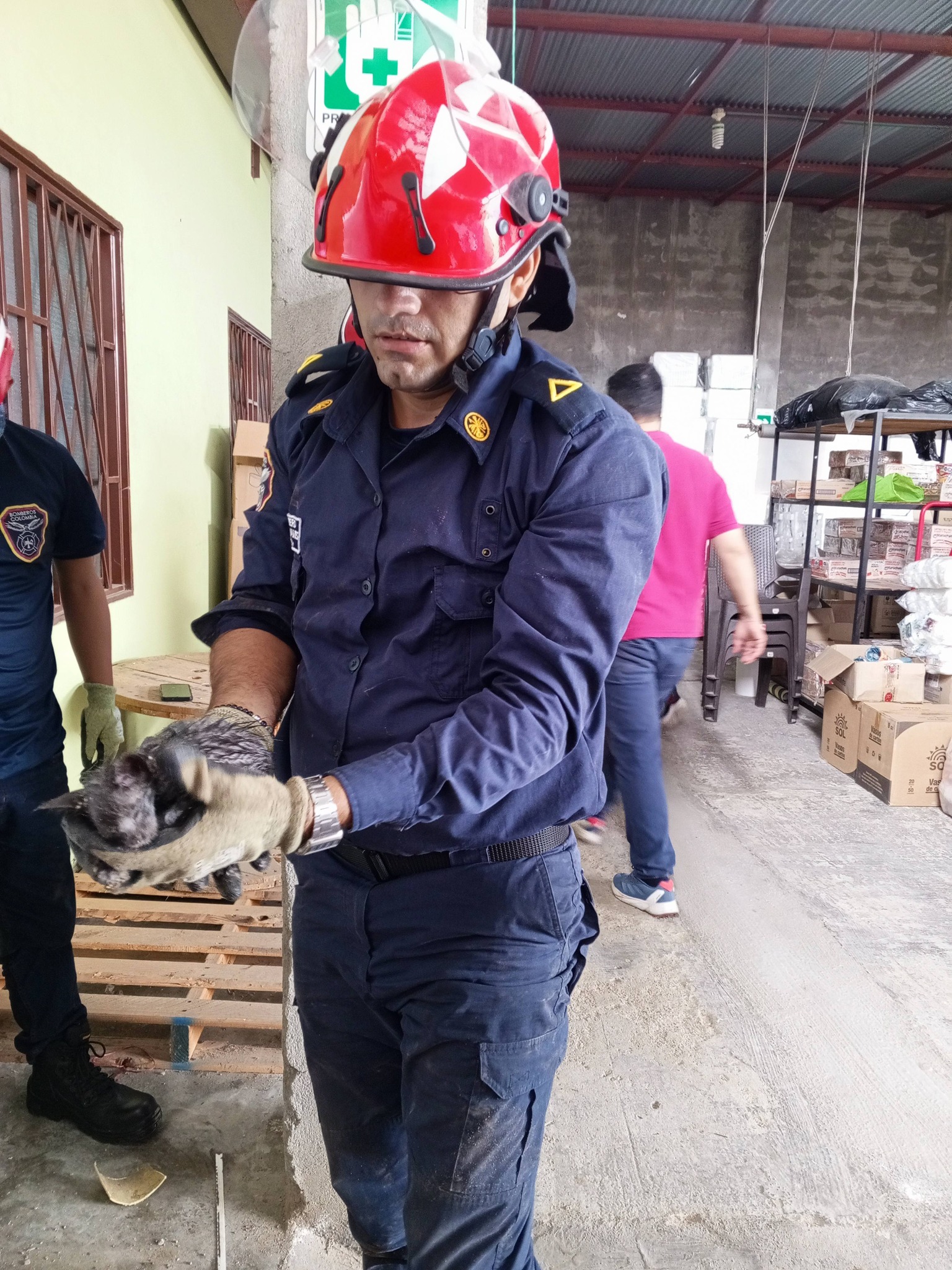 Bomberos rescatan a gatica atrapada en tubería de desagüe en Campoalegre, Huila 7