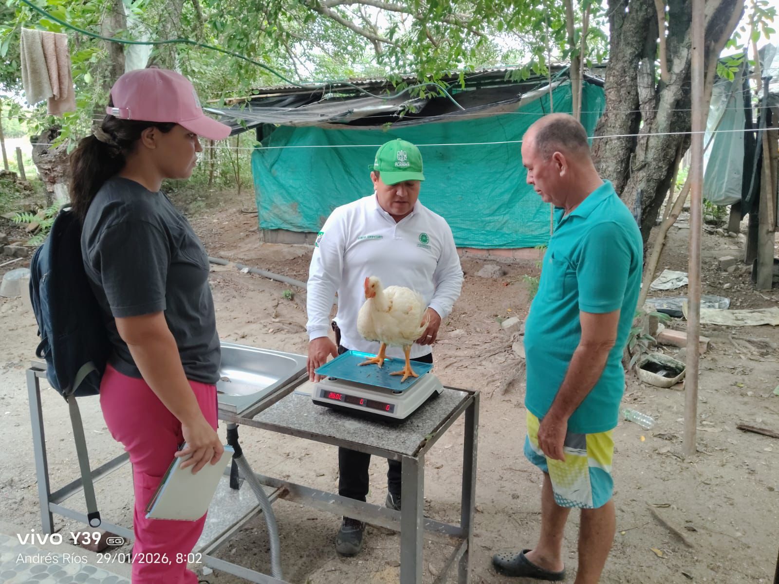 Flandes impulsa la ruralidad: 18 familias ya venden pollos de engorde 2