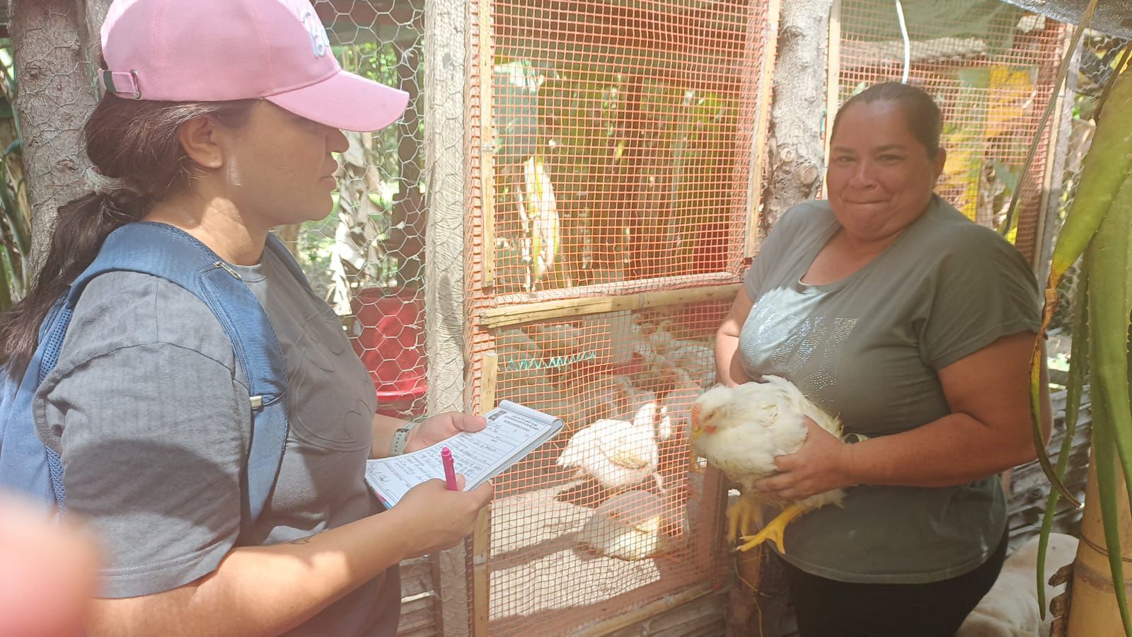 Flandes impulsa la ruralidad: 18 familias ya venden pollos de engorde 1