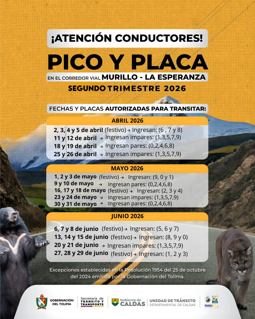 Tolima refuerza operativos de tránsito y seguridad vial para Semana Santa 3