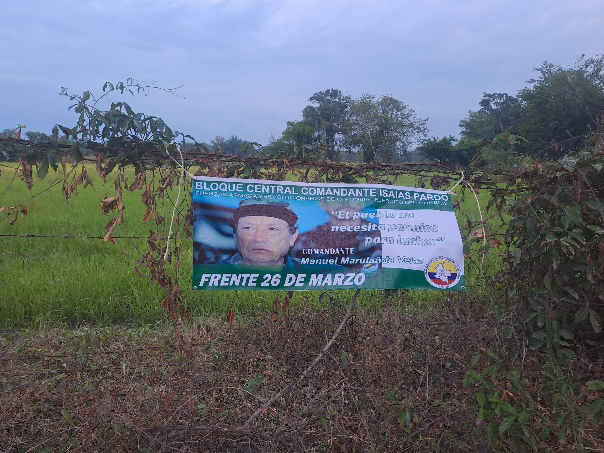 Alerta en Tolima: retiran propaganda de grupos armados en cinco municipios y refuerzan seguridad rural 5