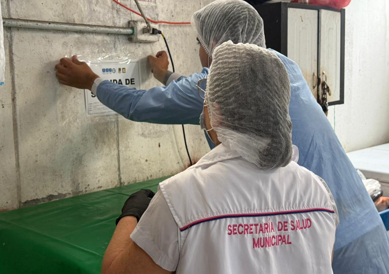 ¡Alerta en Ibagué! Cierran expendios de pescado por plagas justo antes de Semana Santa 7