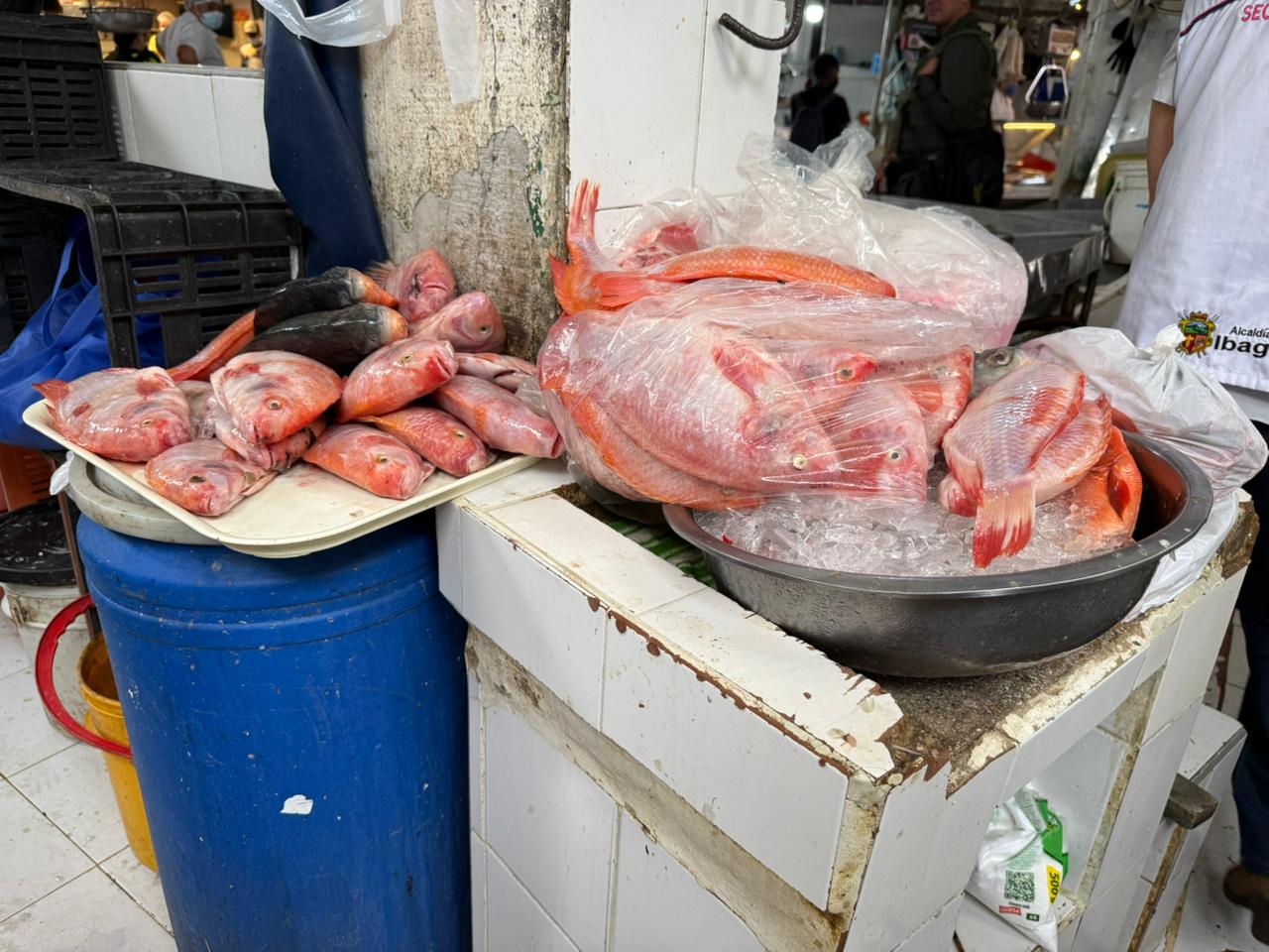 ¡Alerta en Ibagué! Cierran expendios de pescado por plagas justo antes de Semana Santa 6
