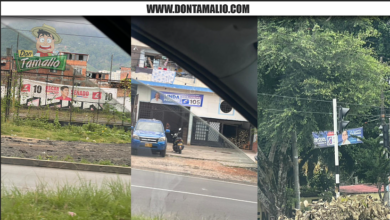 Más de 700 piezas de publicidad política fueron retiradas en Ibagué tras elecciones 6