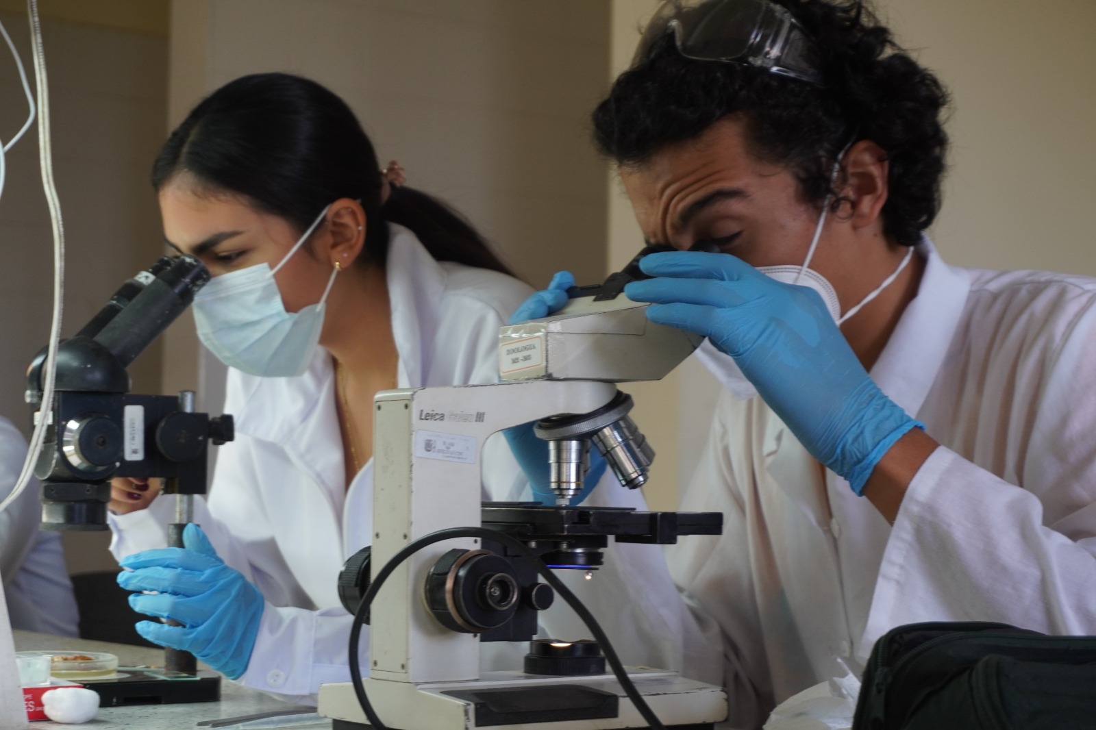 Ministerio de Educación renueva por seis años la Acreditación en Alta Calidad de Biología en la Universidad del Tolima 1