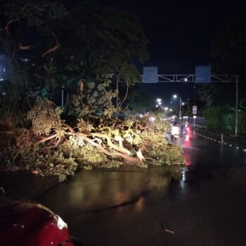 Lluvias no dieron tregua en Semana Santa: 9 emergencias reportadas en Ibagué 2