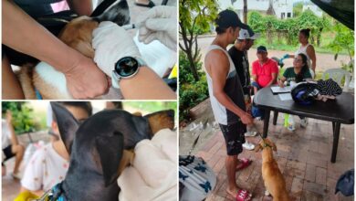 Flandes lleva jornada de bienestar animal puerta a puerta en zona rural 2