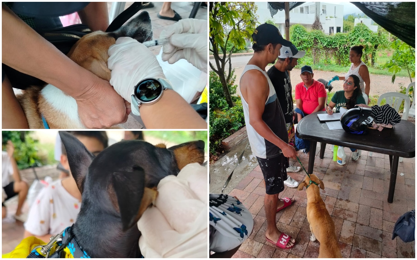 Flandes lleva jornada de bienestar animal puerta a puerta en zona rural 1